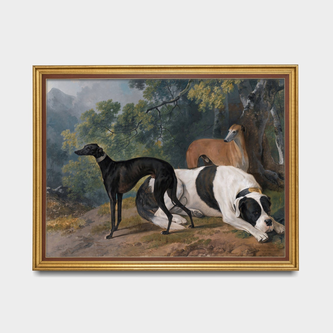 Greyhounds And Mastiff Resting In The Woodland Forest Poster - Image 5