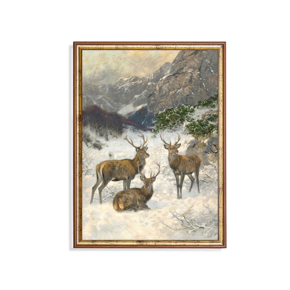 Red Deer Stags In Snowy Mountain Valley Vintage Wildlife Poster