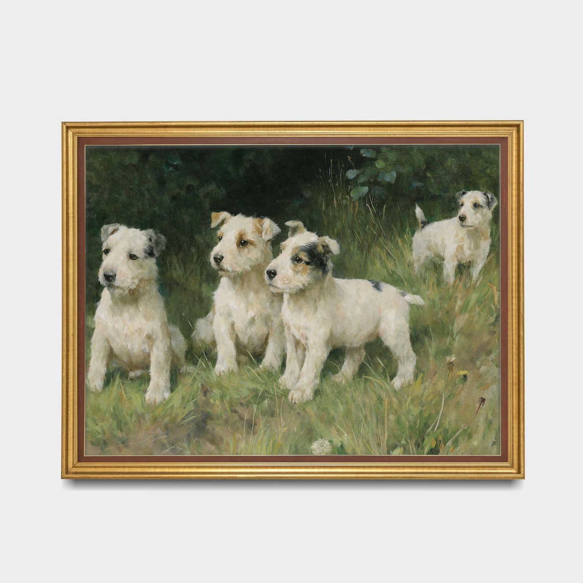 Four White Terrier Puppies Playing in a Summer Meadow Poster - Image 3
