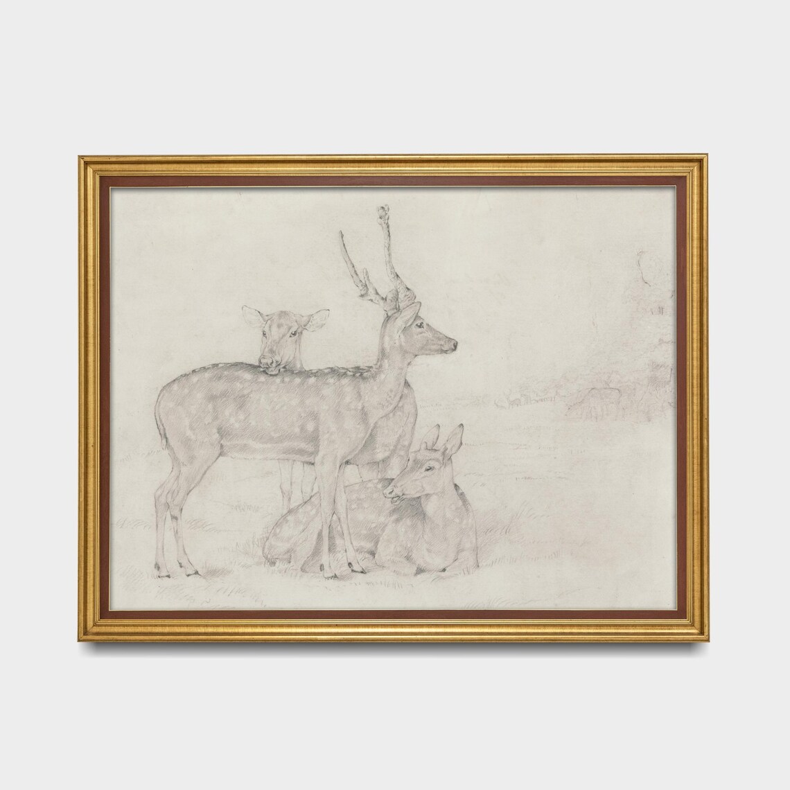 Vintage Deer Sketch Art Print, Farmhouse Decor - Image 5