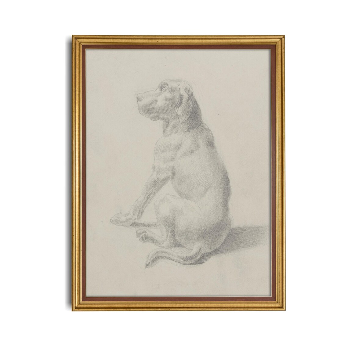 Antique Pencil Sketch Seated Hound Dog Minimalist Animal Art Poster - Image 4