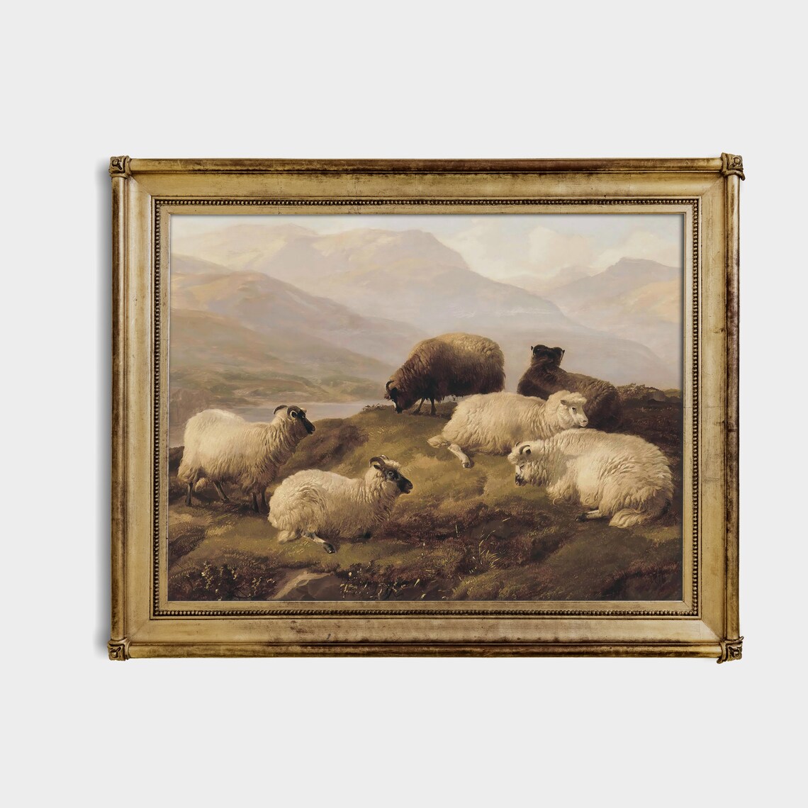 Flock of Sheep Resting on a Highland Slope Mountain Scene Oil Print - Image 4