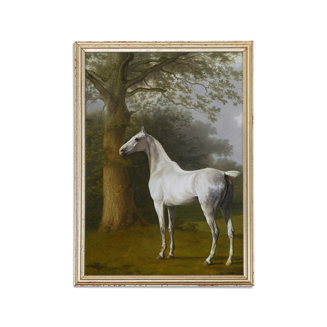 Grey Horse Standing in a Wooded Grove Vintage Equestrian Poster - Image 2