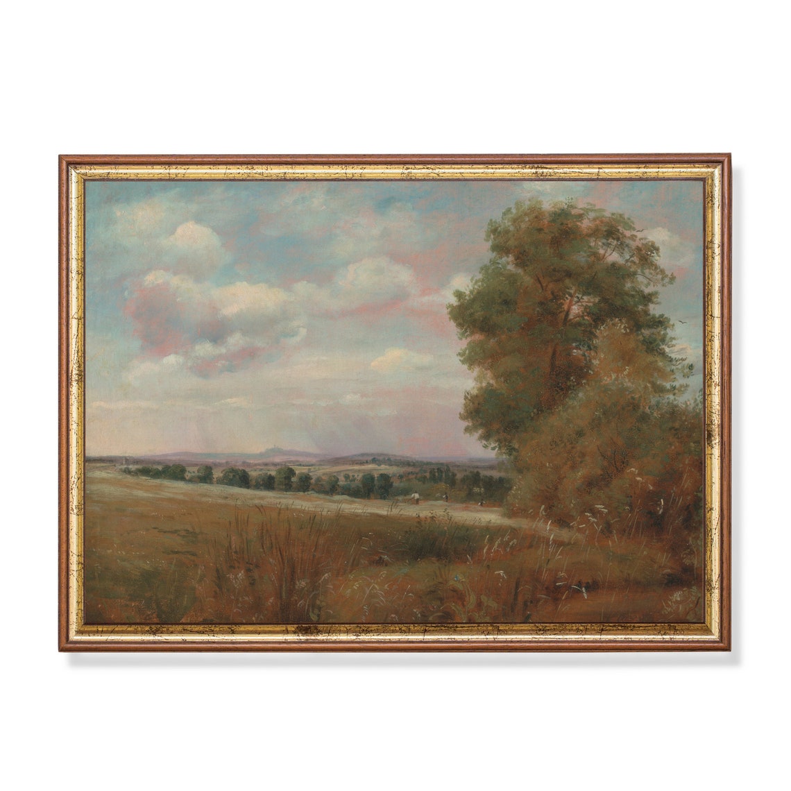 Open Meadow Golden Fields Pink Clouds Vintage Landscape Poster