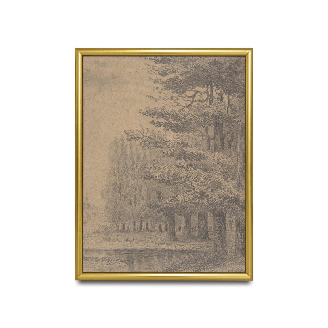 Forest Trees Pencil Sketch Vintage Nature Drawing Wall Poster - Image 2