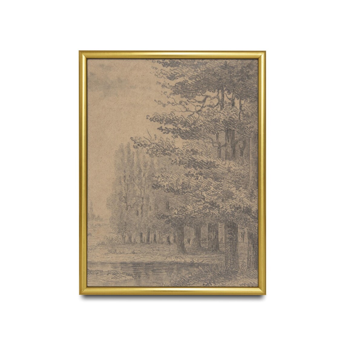 Printed And Shipped Vintage Tree Sketch Drawing Antique Sketch Print Neutral Art Forest Drawing Farmhouse Decor Physical Prints - Image 2