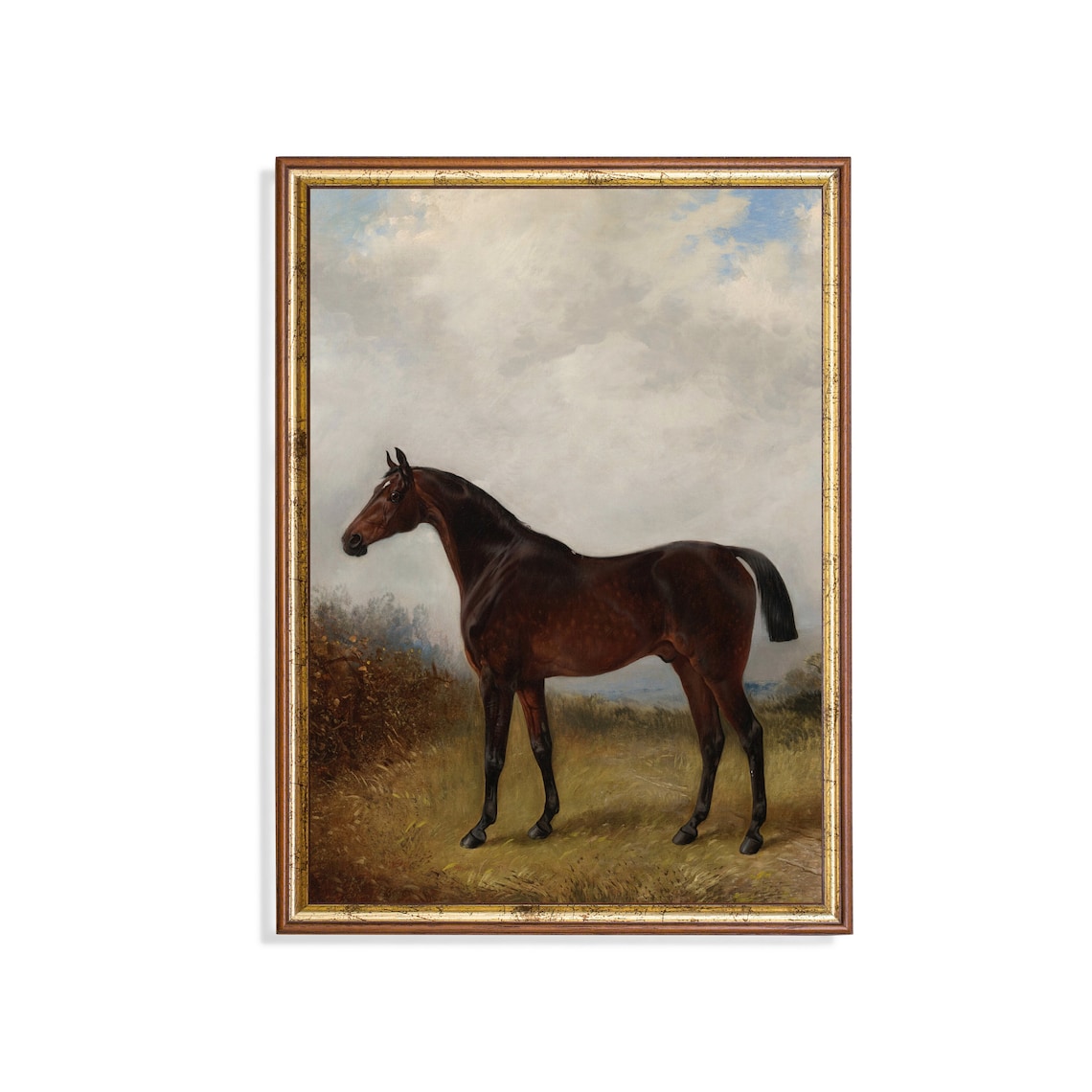 Vintage Equestrian Horse Painting, Farmhouse Animal Art