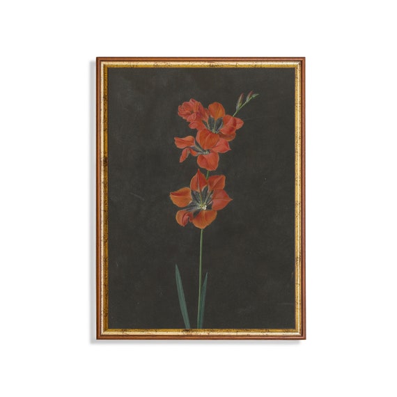 Vintage Floral Painting Antique Flower Print Moody Rustic Fine Print Dark Academia Botanical Wall Art
