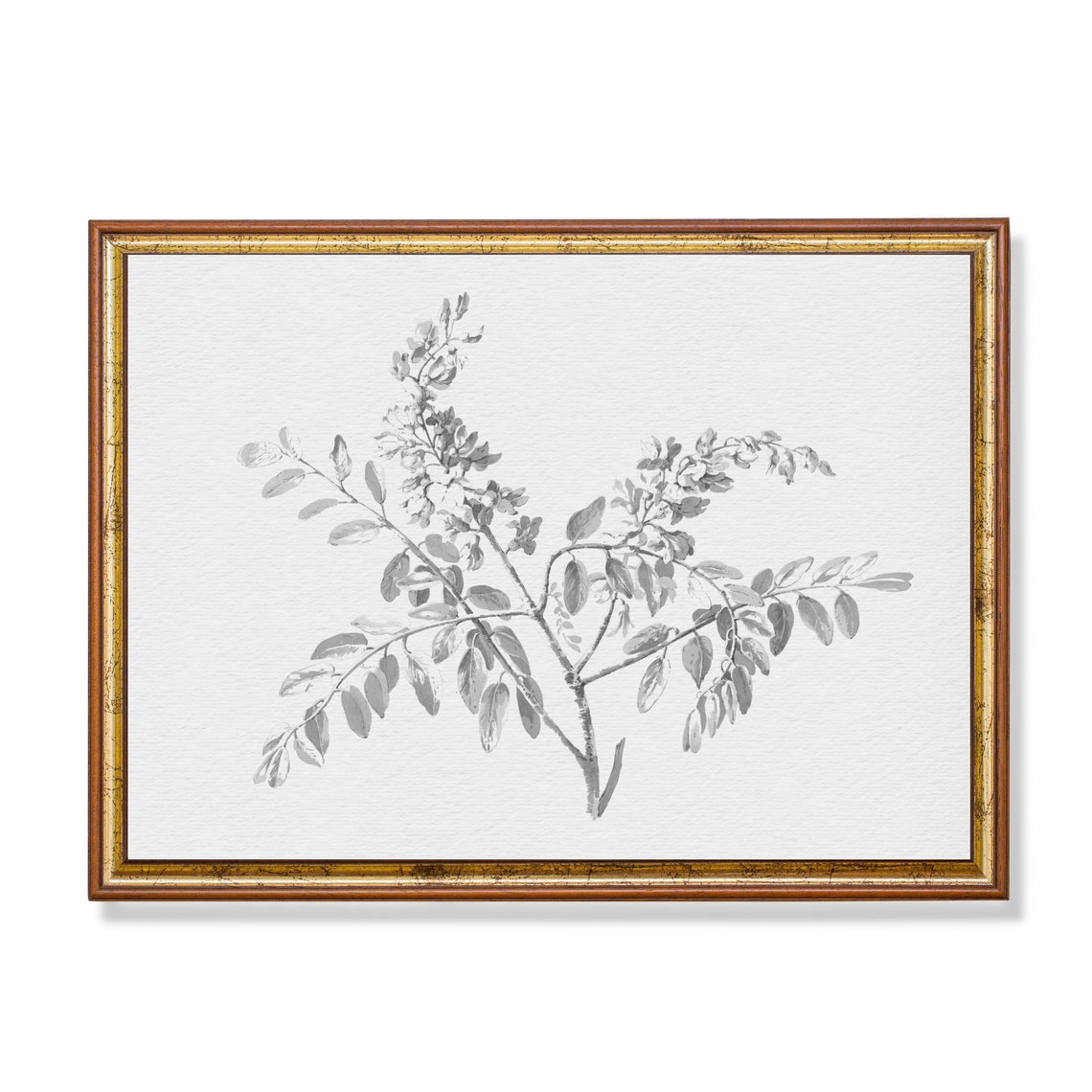 Delicate Branch Botanical Sketch Neutral Gray Line Art Poster