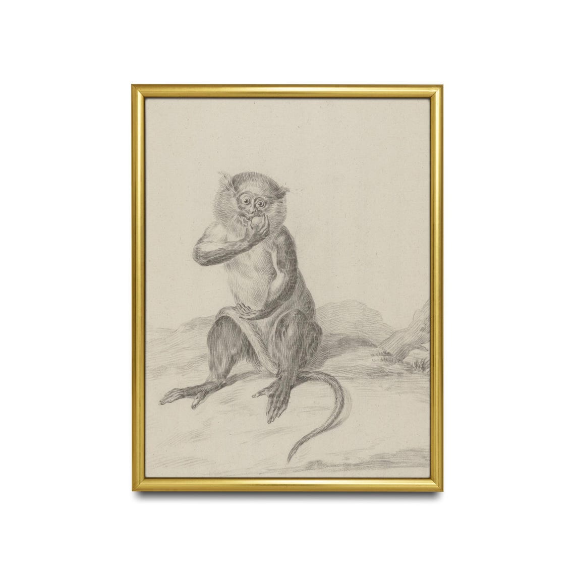 Seated Monkey Eating Fruit Vintage Graphite Animal Sketch Poster - Image 2