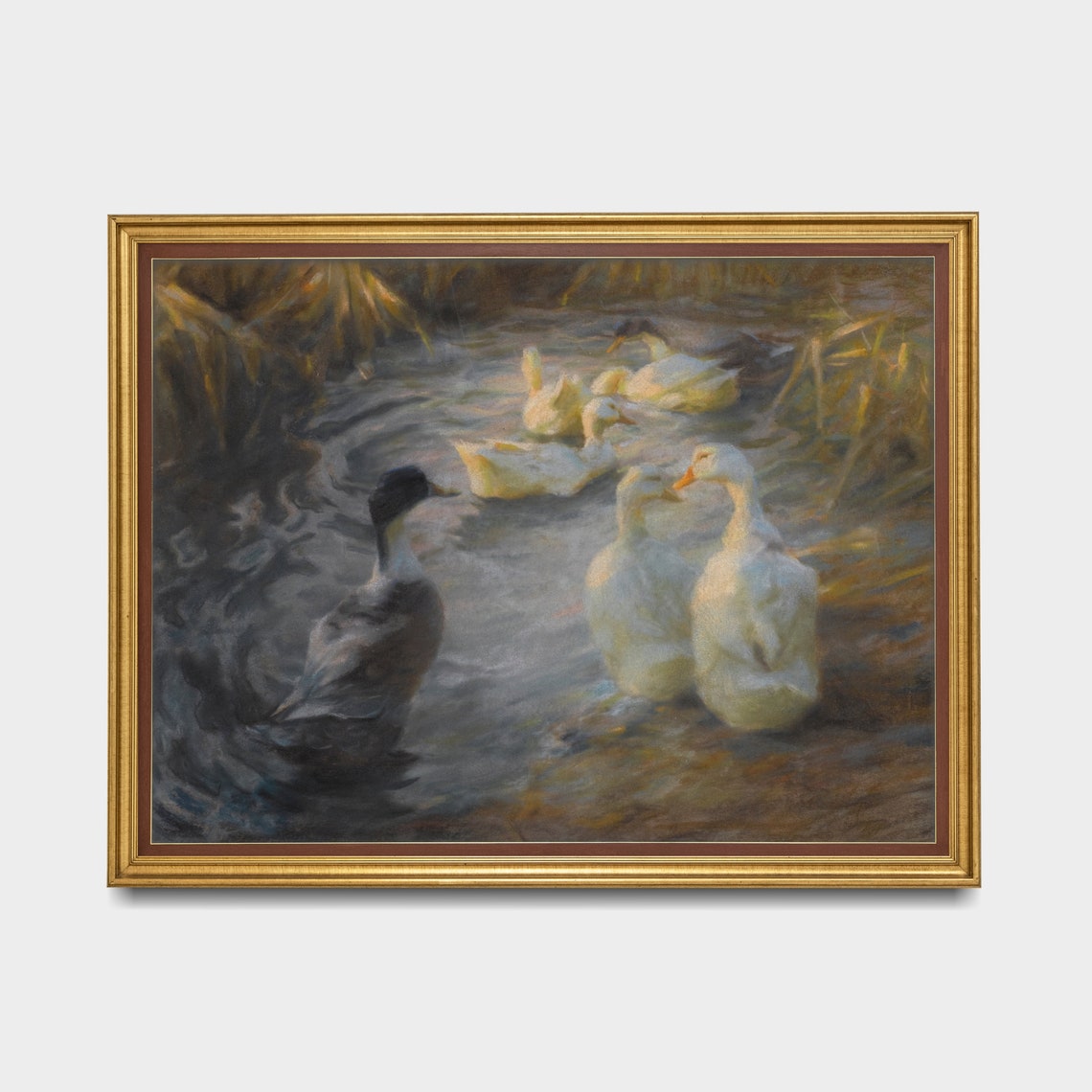 White Ducks and Mallard Swimming in a Reedy Pond Vintage Poster - Image 5