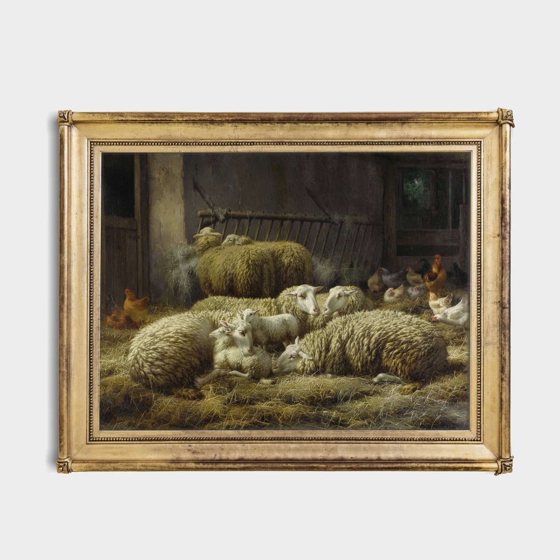 Sheep and Lambs Resting in a Barn With Chickens Vintage Poster - Image 3