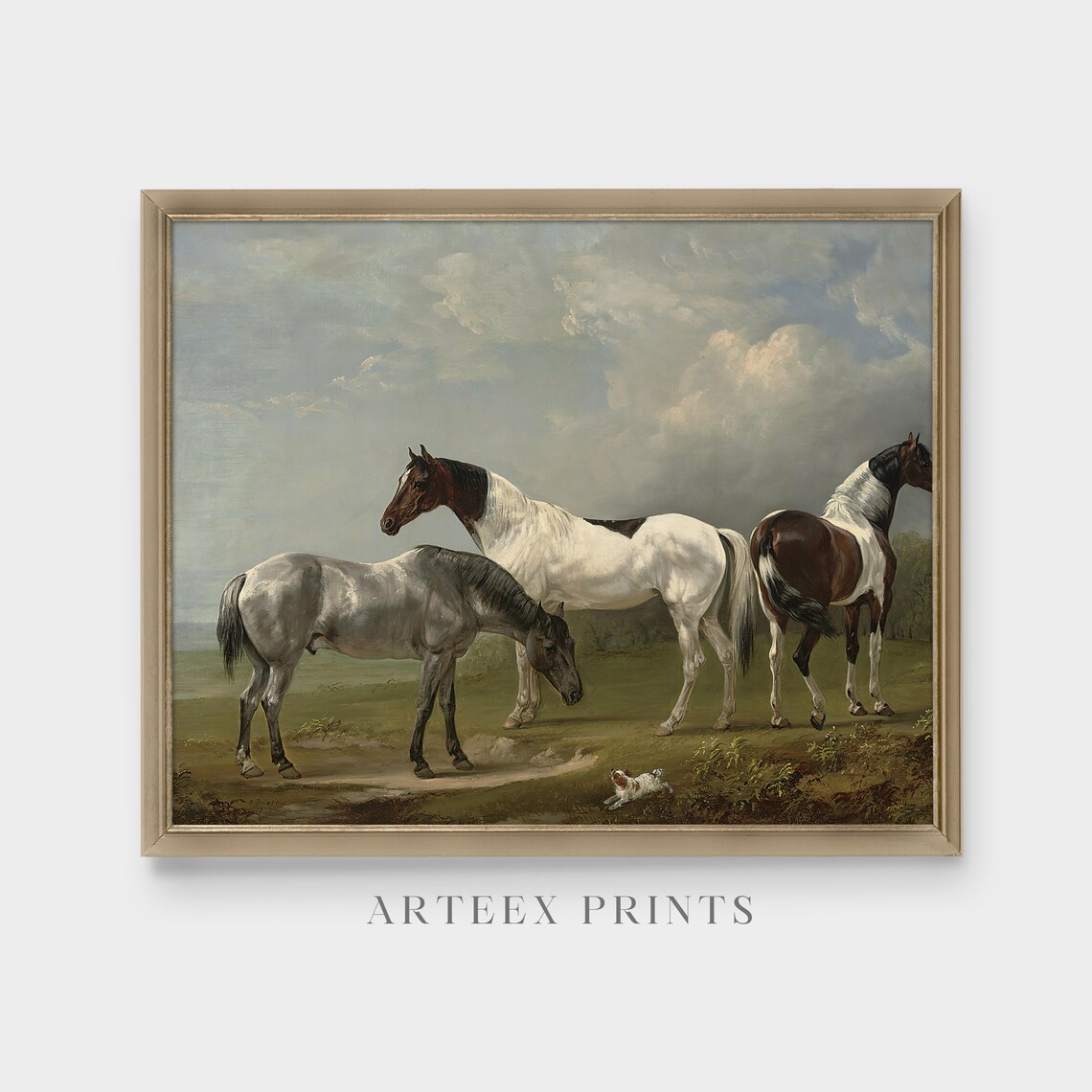 Three Horses Standing with a Small Dog in an Open Meadow Poster - Image 3