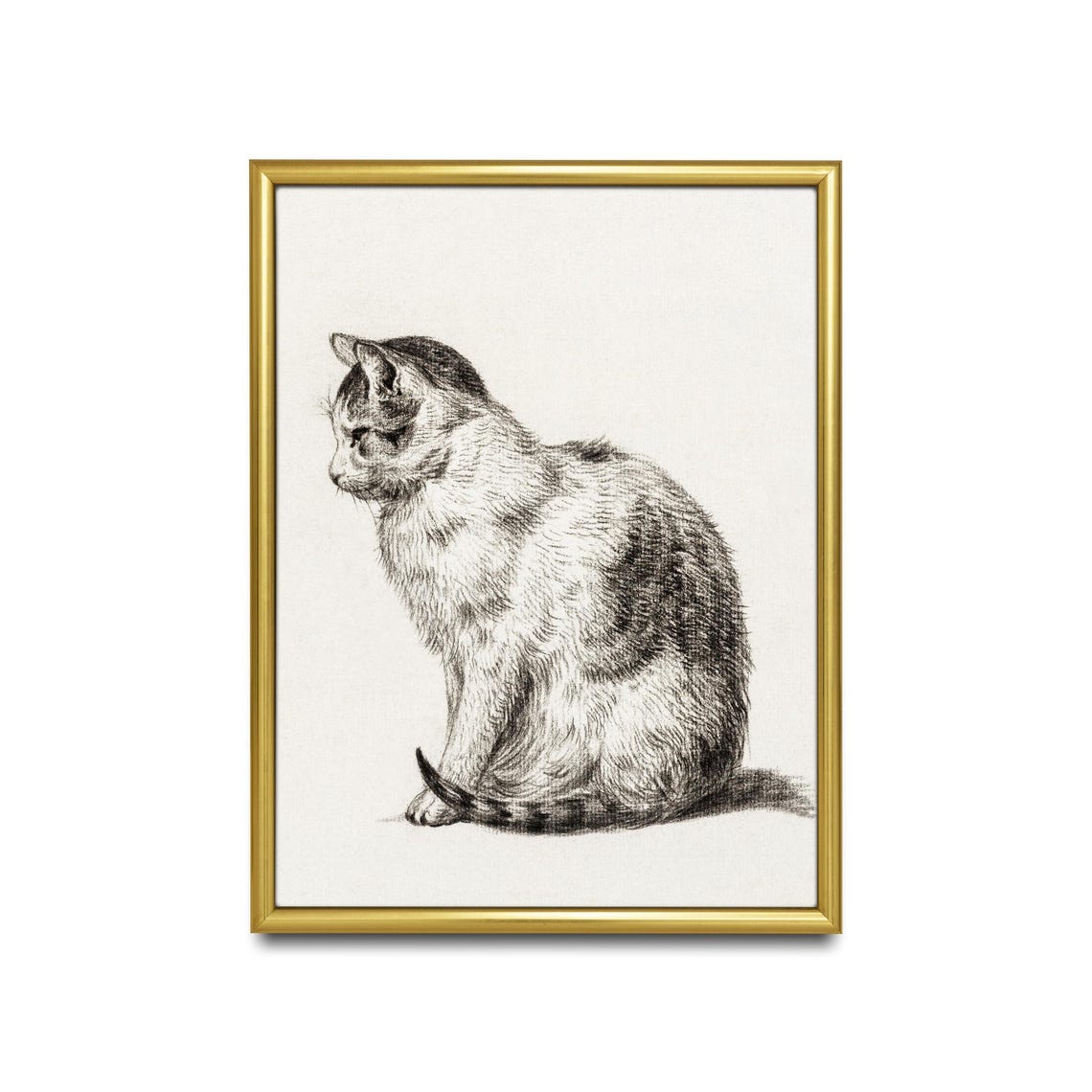 Seated Tabby Cat in Profile Vintage Graphite Pencil Study Poster - Image 2