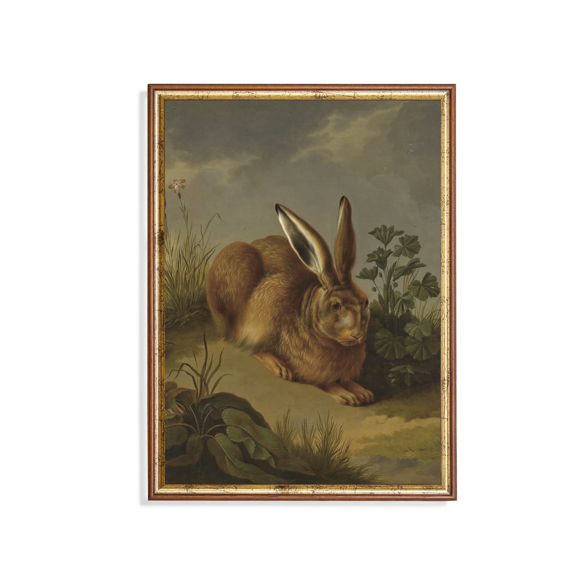 Alert Brown Hare Among Wild Plants Vintage Wildlife Art Poster