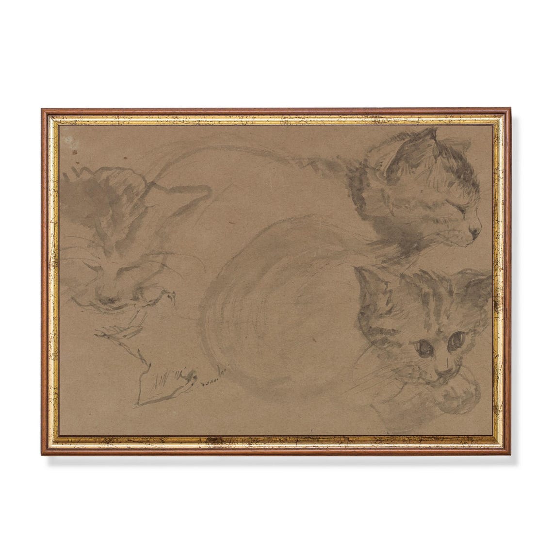 Three Cats Sketch Study Vintage Feline Pencil Drawing Poster