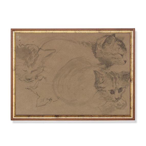 Three Cats Sketch Study Vintage Feline Pencil Drawing Poster