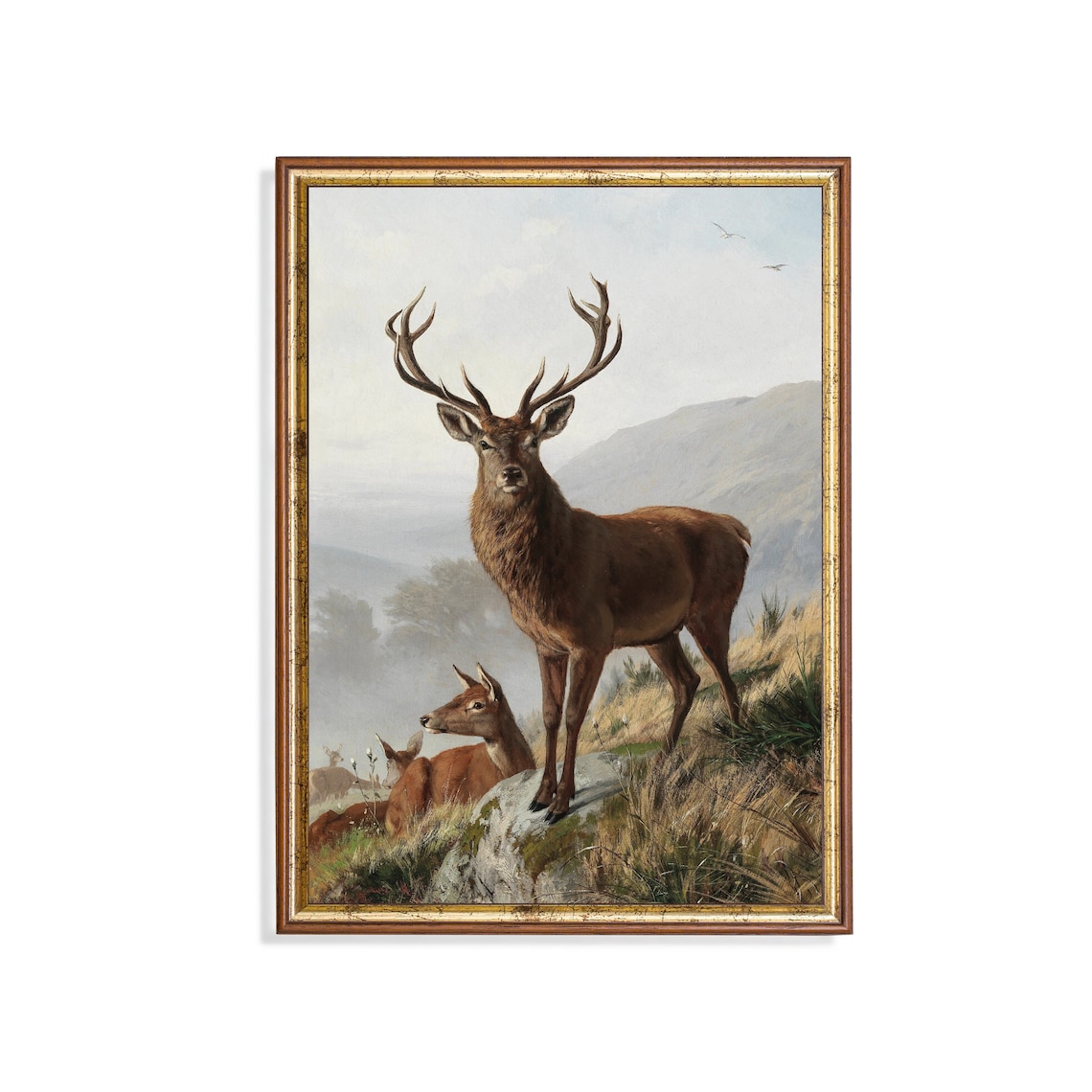 Majestic Red Deer Stag on Rocky Crag with Herd Vintage Wildlife Poster