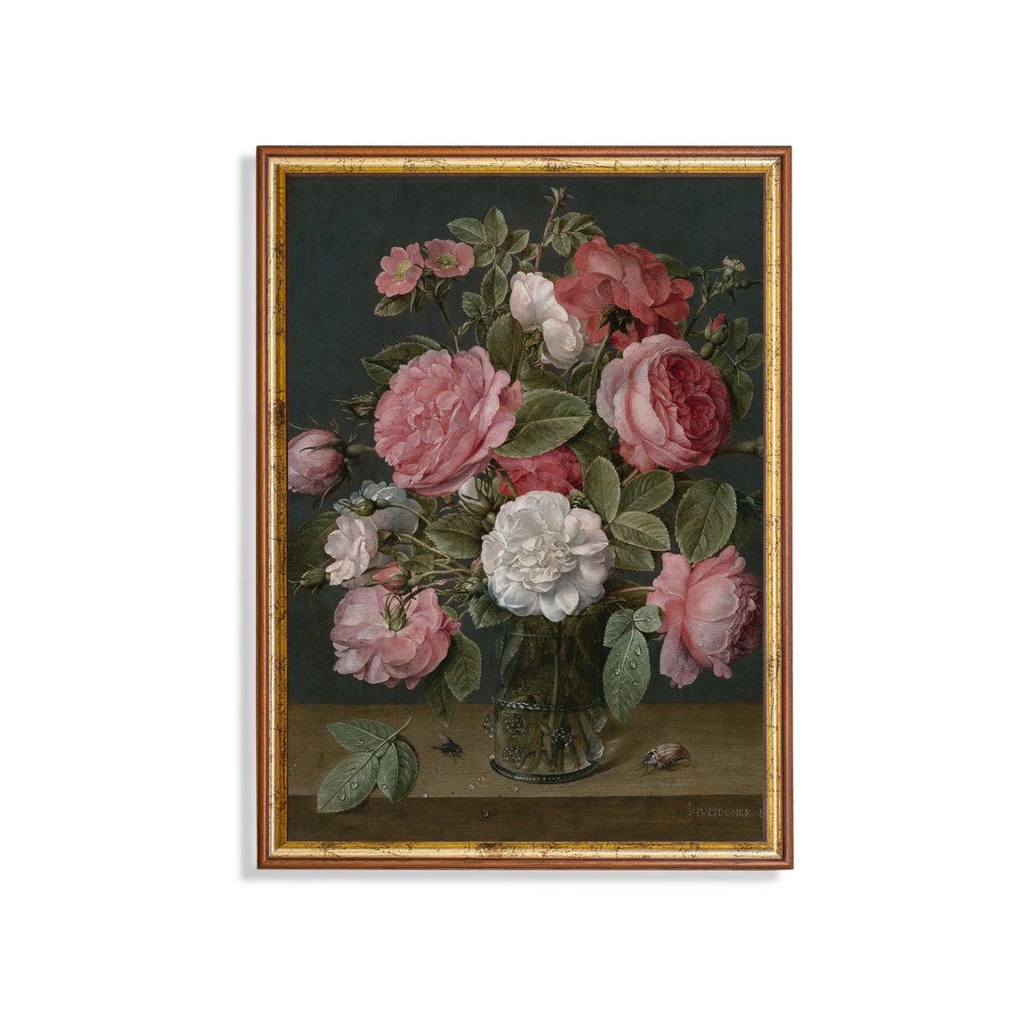 Pink and White Roses in a Glass Vase Dutch Still Life Poster
