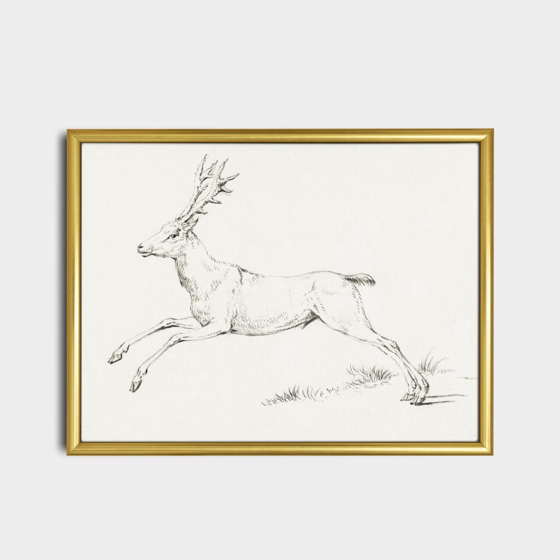 Leaping Stag Pencil Sketch Antlered Deer Wildlife Drawing Poster - Image 2