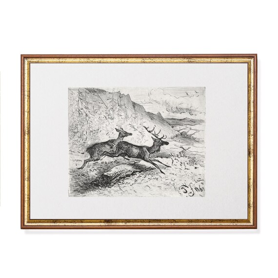 Antique Deer Sketch of Two Stags Leaping Over a Fallen Log Poster