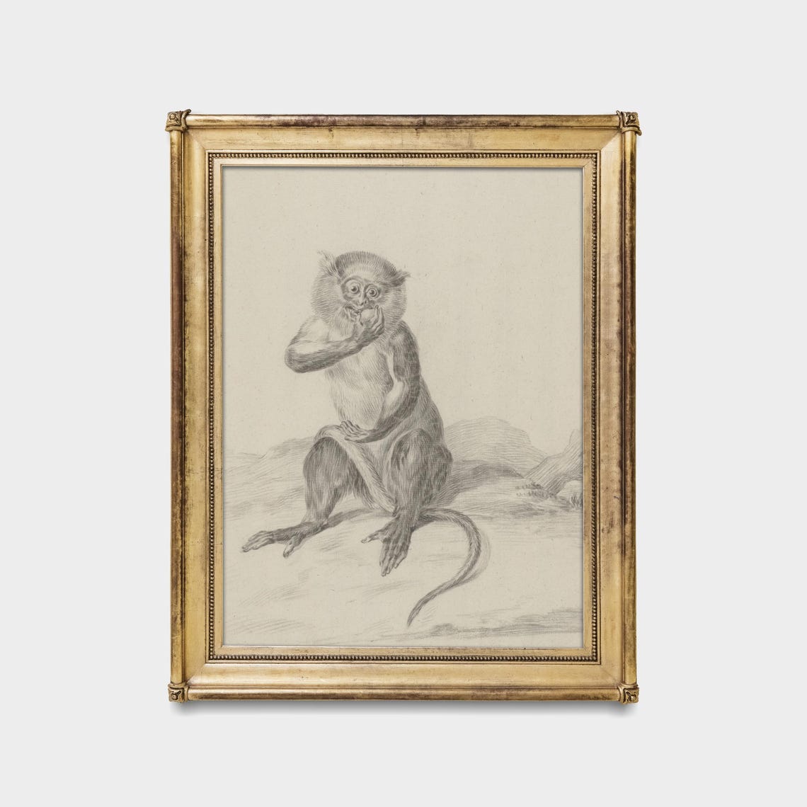 Seated Monkey Eating Fruit Vintage Graphite Animal Sketch Poster - Image 5