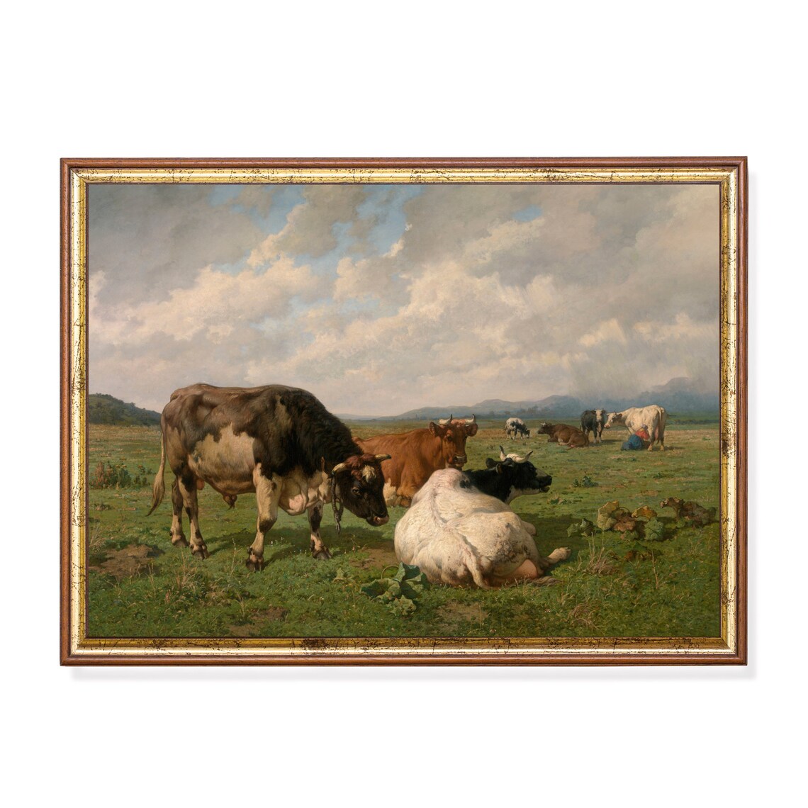 Cattle Resting Green Meadow Big Cloudy Sky Vintage Farm Poster