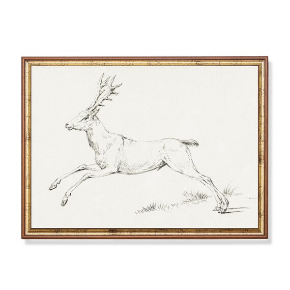 Leaping Stag Pencil Sketch Antlered Deer Wildlife Drawing Poster