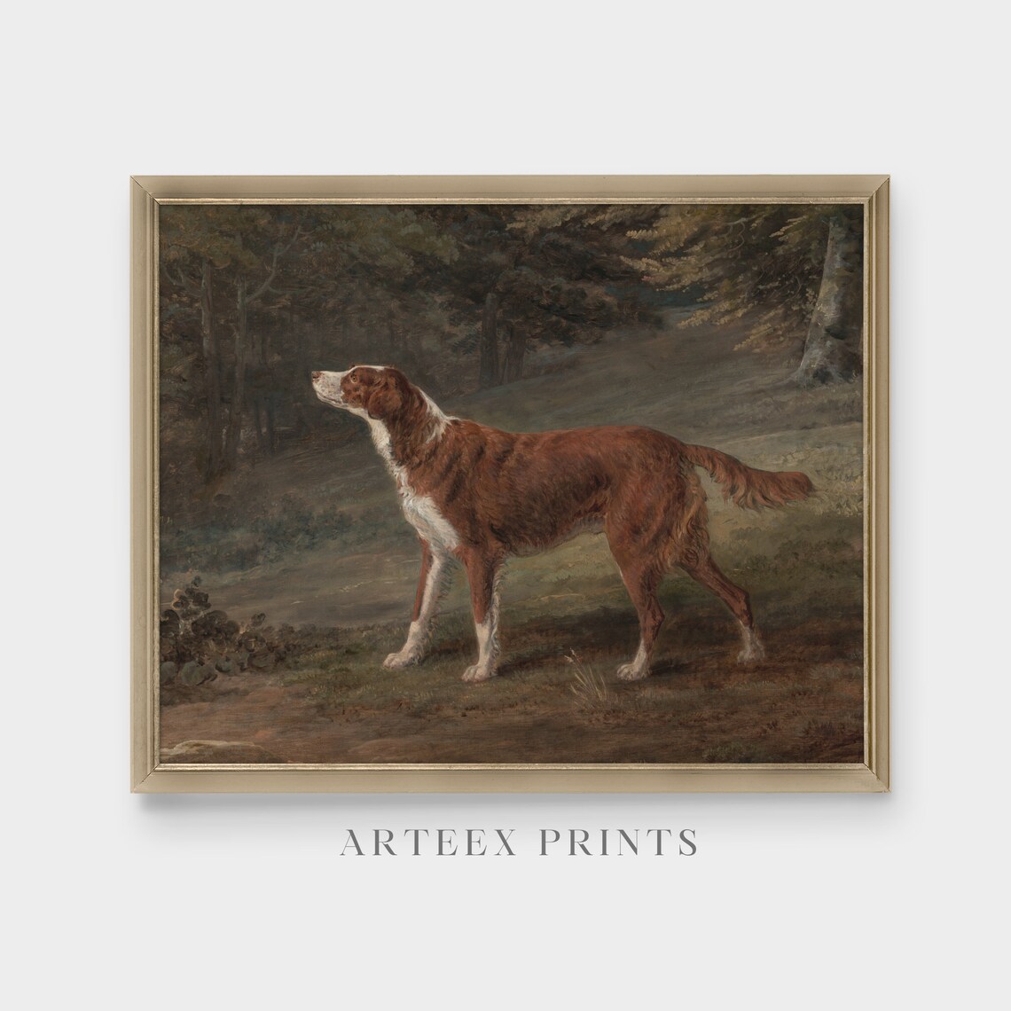 Red Setter Dog in a Woodland Glade Vintage Oil Painting Poster - Image 4