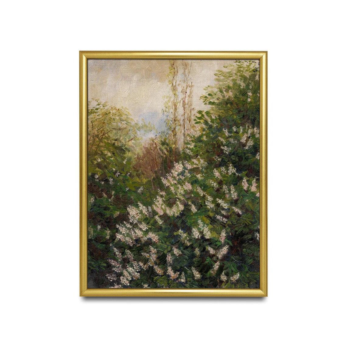Blooming Lilac Bush White and Pink Blossoms Garden Floral Poster - Image 2