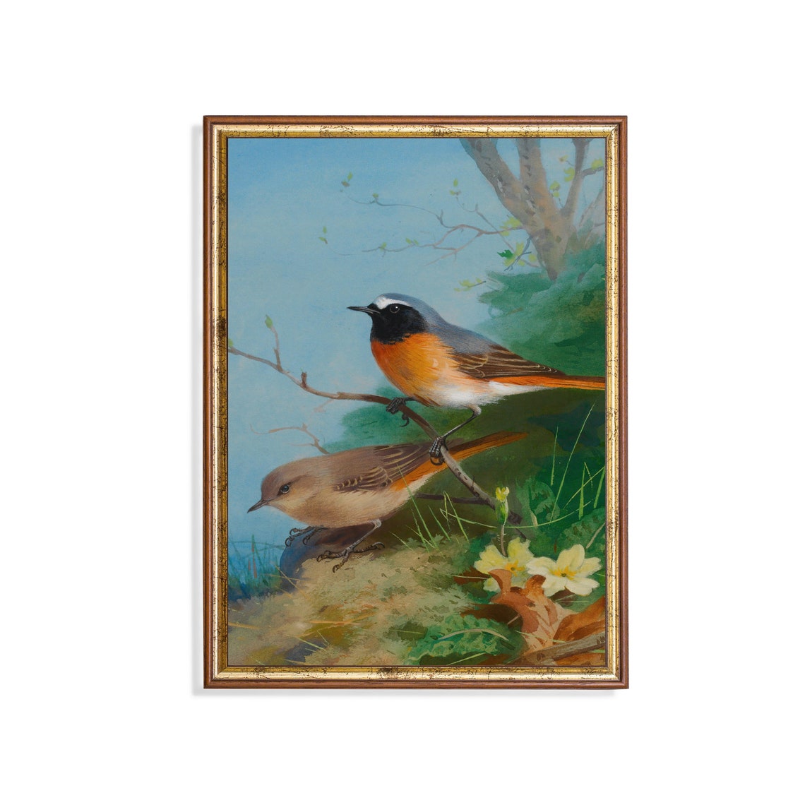 Songbird Pair Perched on a Branch Vintage Bird Illustration Poster