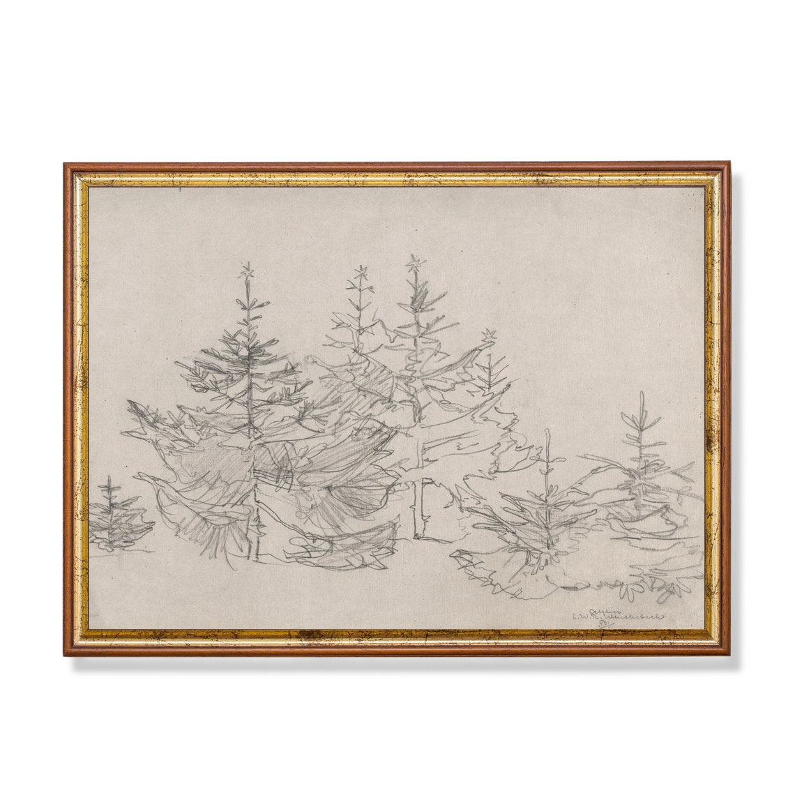 Antique Pine Tree Pencil Sketch Forest Study Neutral Vintage Print