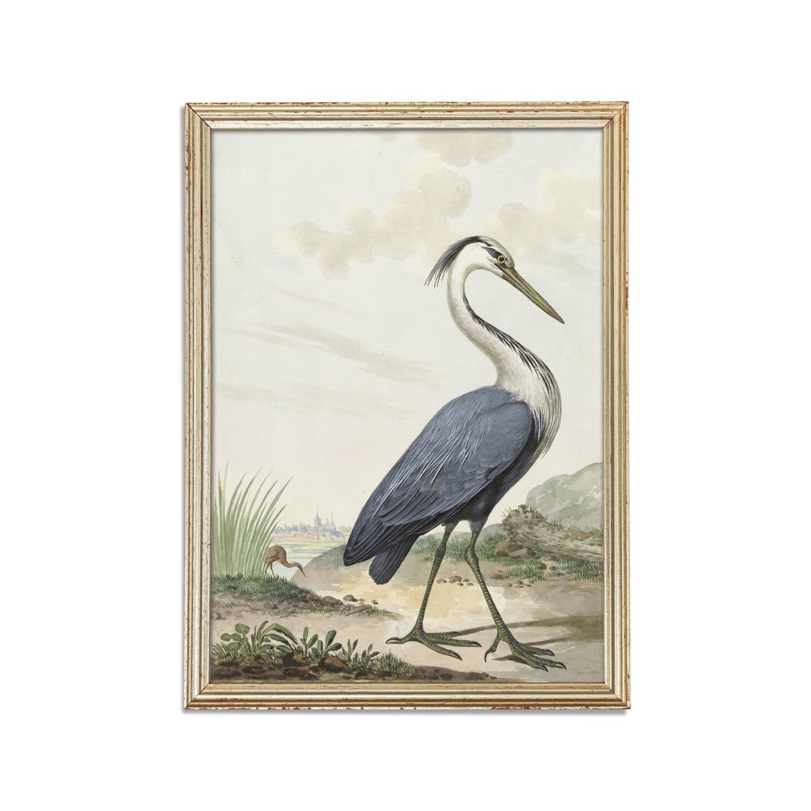 Blue Heron in Wetlands Vintage Natural History Bird Study Poster - Image 2