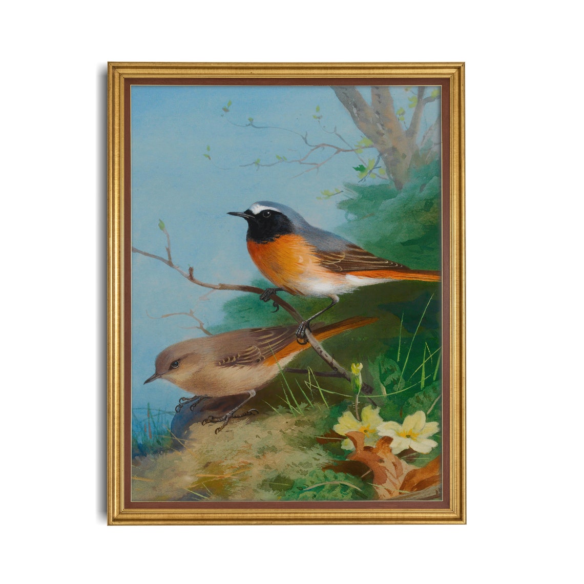 Songbird Pair Perched on a Branch Vintage Bird Illustration Poster - Image 2