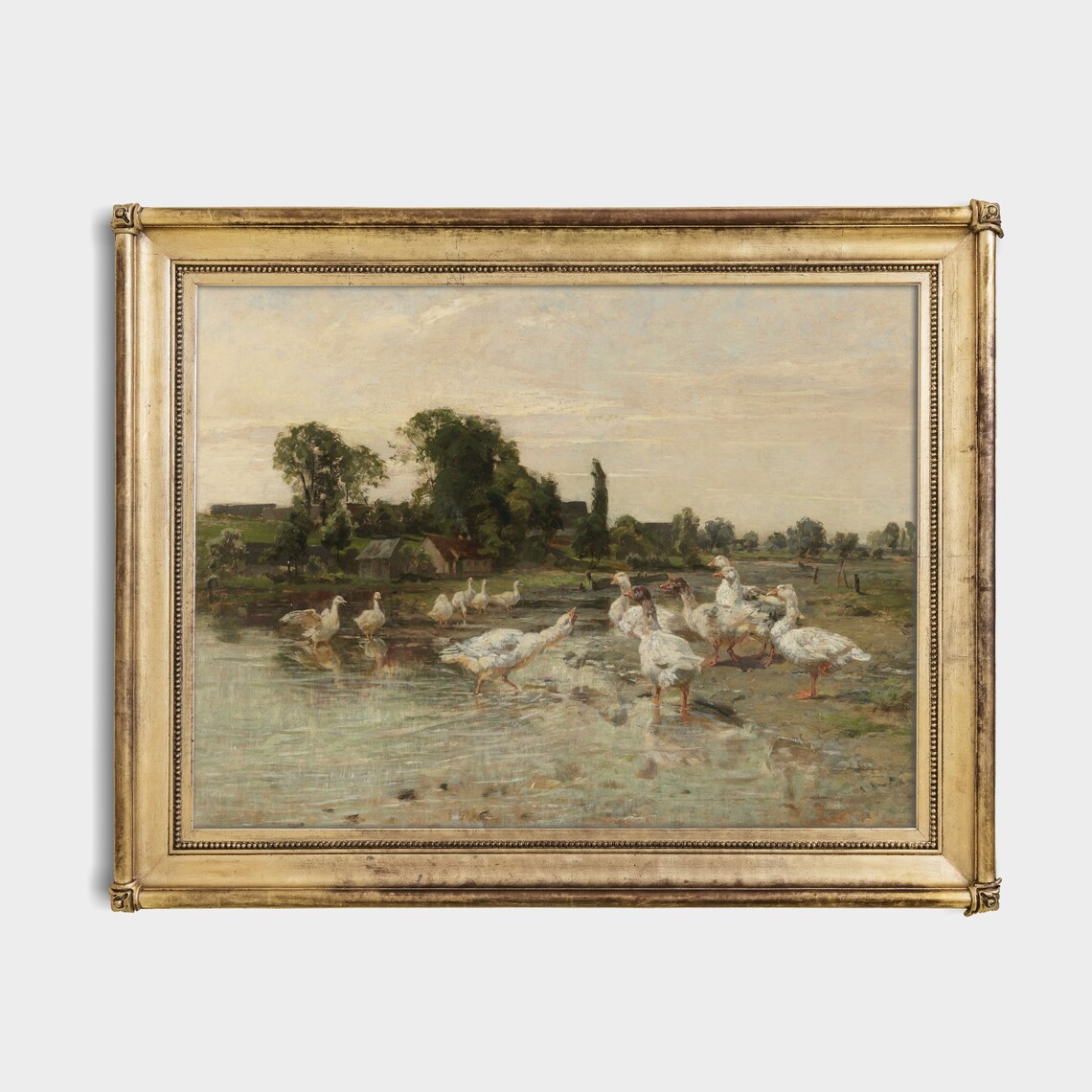 Flock of White Geese Wading at the Water Vintage Birds Poster - Image 3