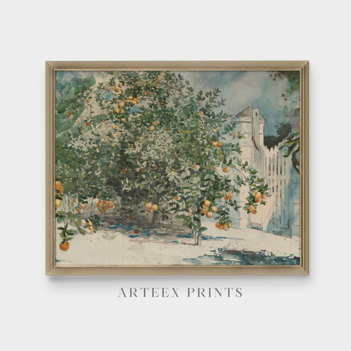Orange Trees Heavy With Fruit Beside a White Gate Watercolor Poster - Image 3