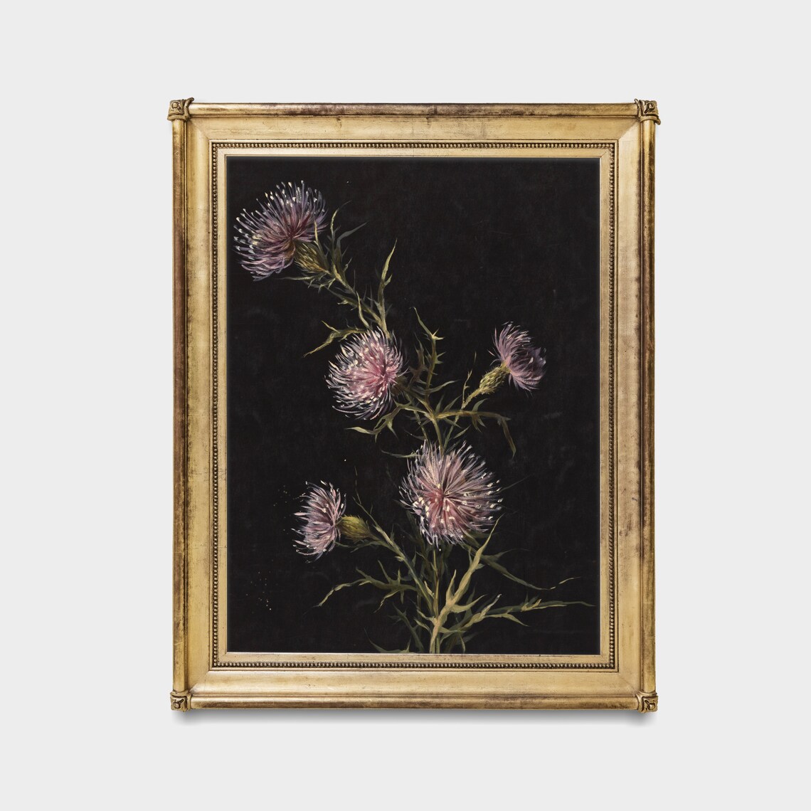 Moody Botanical Thistle Flower Painting on a Black Background Poster - Image 4