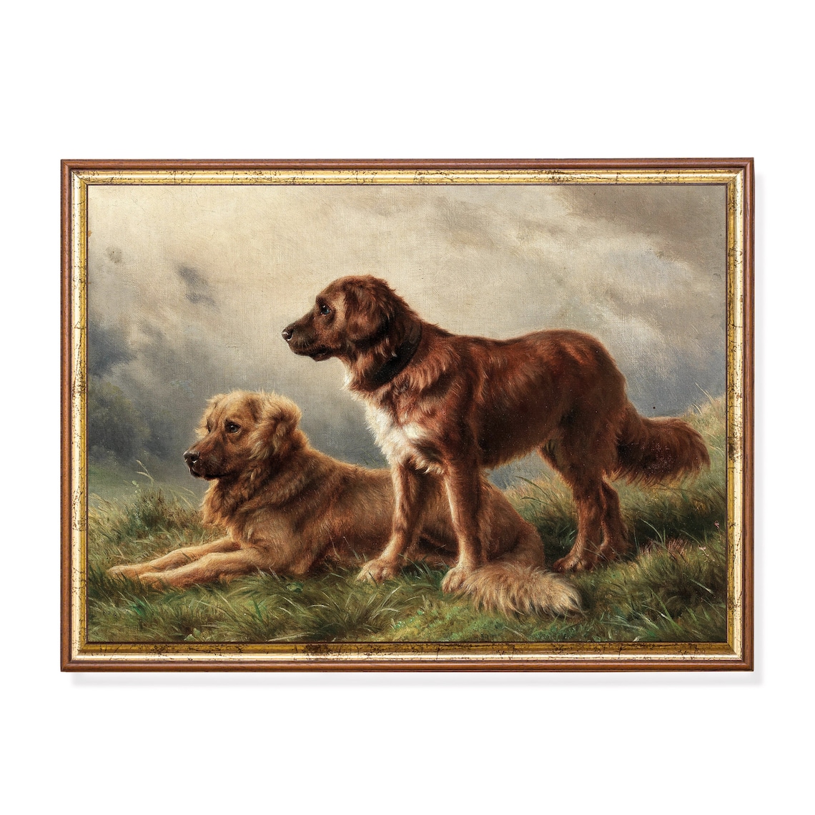 Two Retriever Dogs In Field Vintage Canine Oil Painting Rustic Poster