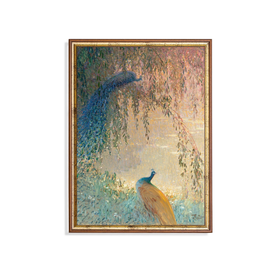 Peacock Under a Weeping Willow Golden Light Vintage Bird Poster