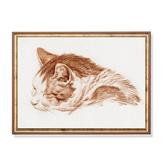 Sleeping Cat Head Study in Warm Red Chalk Vintage Sketch Poster