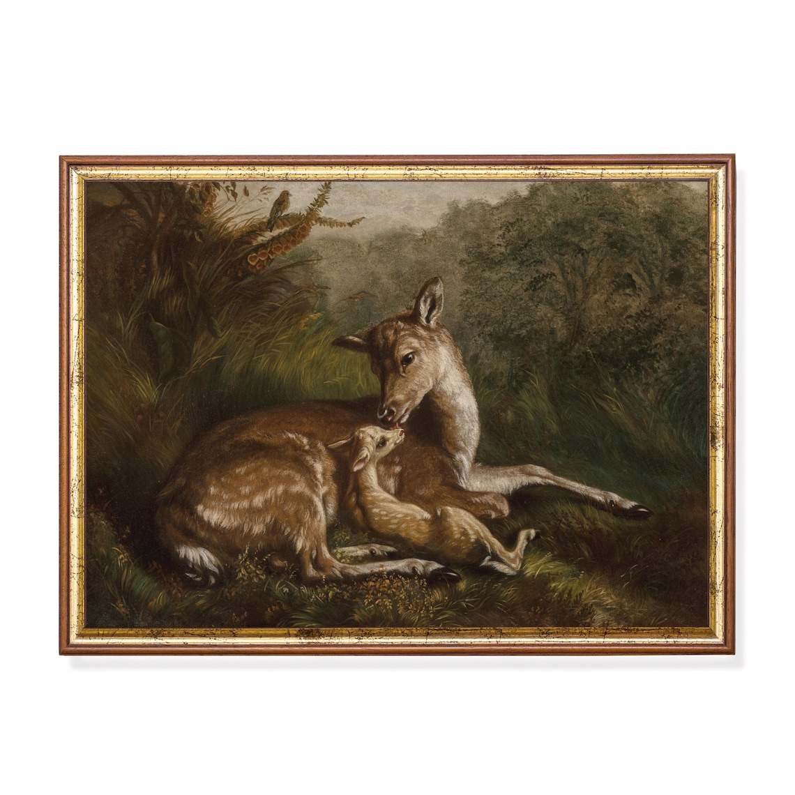 Doe Nuzzling Fawn In Forest Clearing Vintage Deer Oil Painting Poster