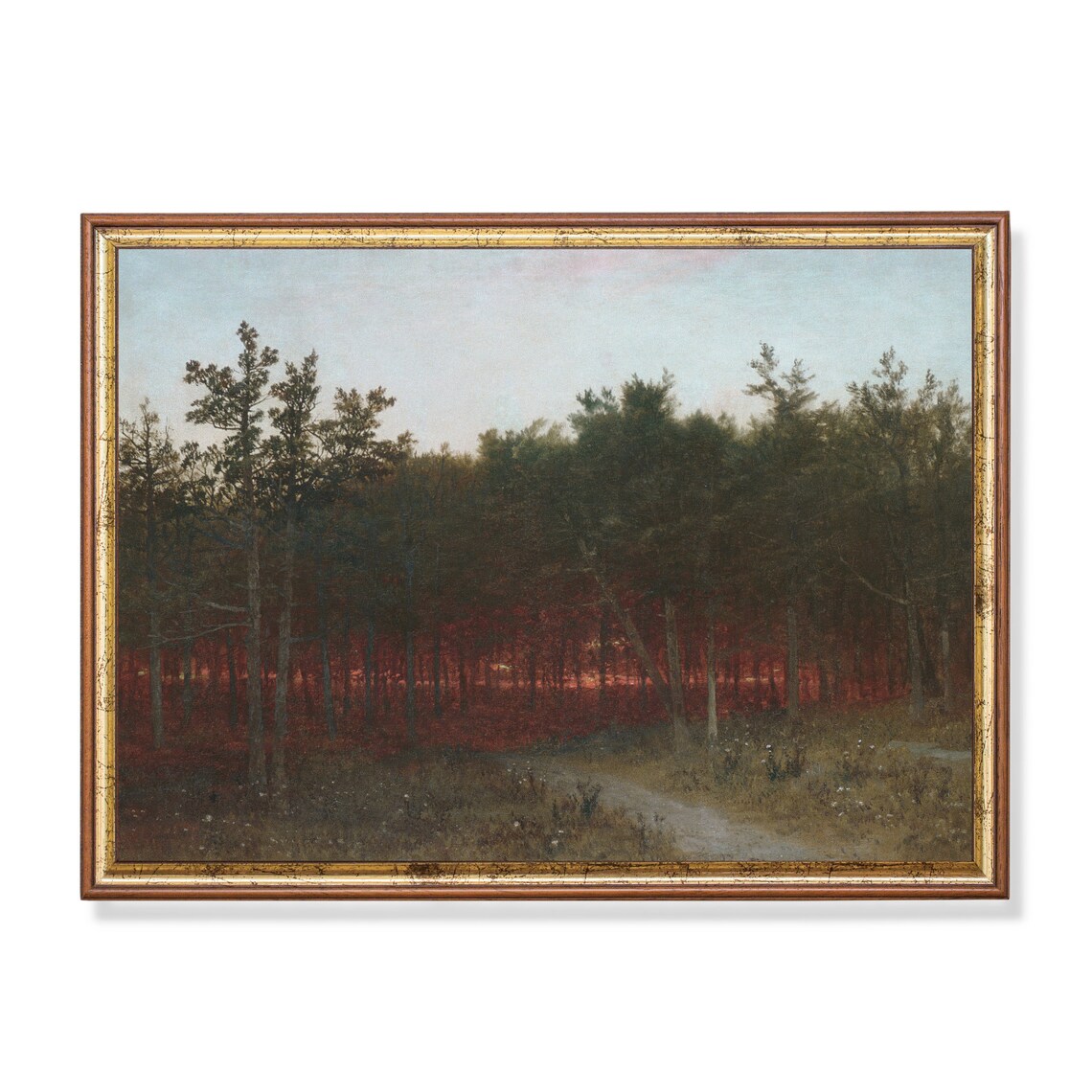 Twilight Pine Forest With Red Sunset Glow Vintage Painting Poster