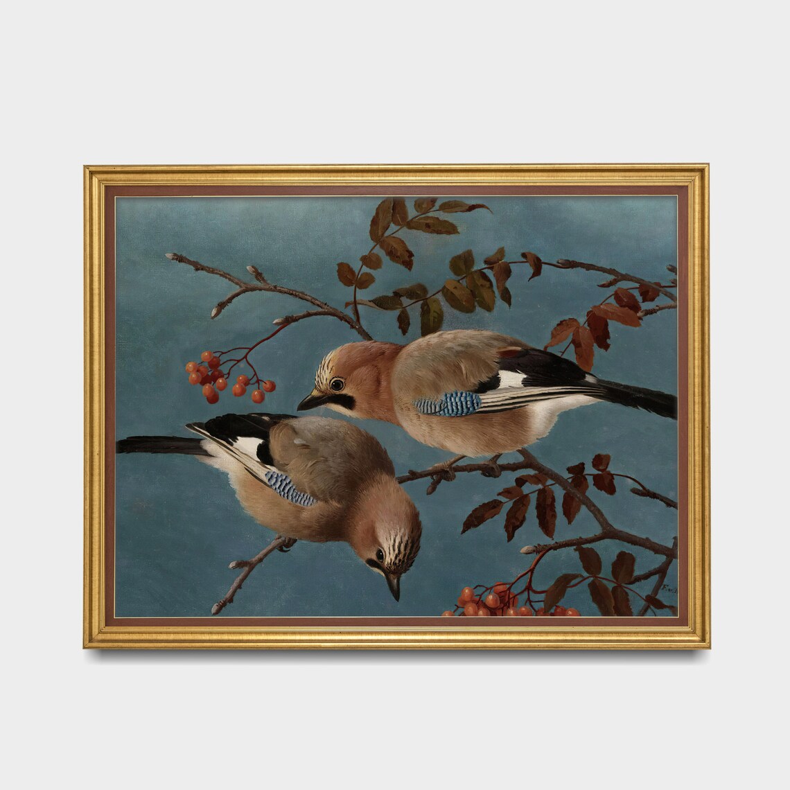 Pair of Eurasian Jays on a Berry Branch Antique Bird Painting Poster - Image 3