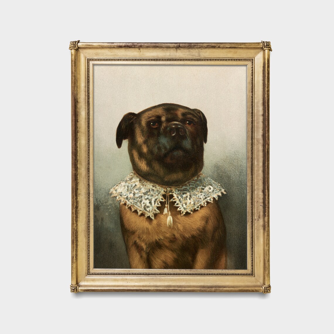 Brown Dog Wearing Lace Collar Vintage Pet Portrait Humor Poster - Image 3