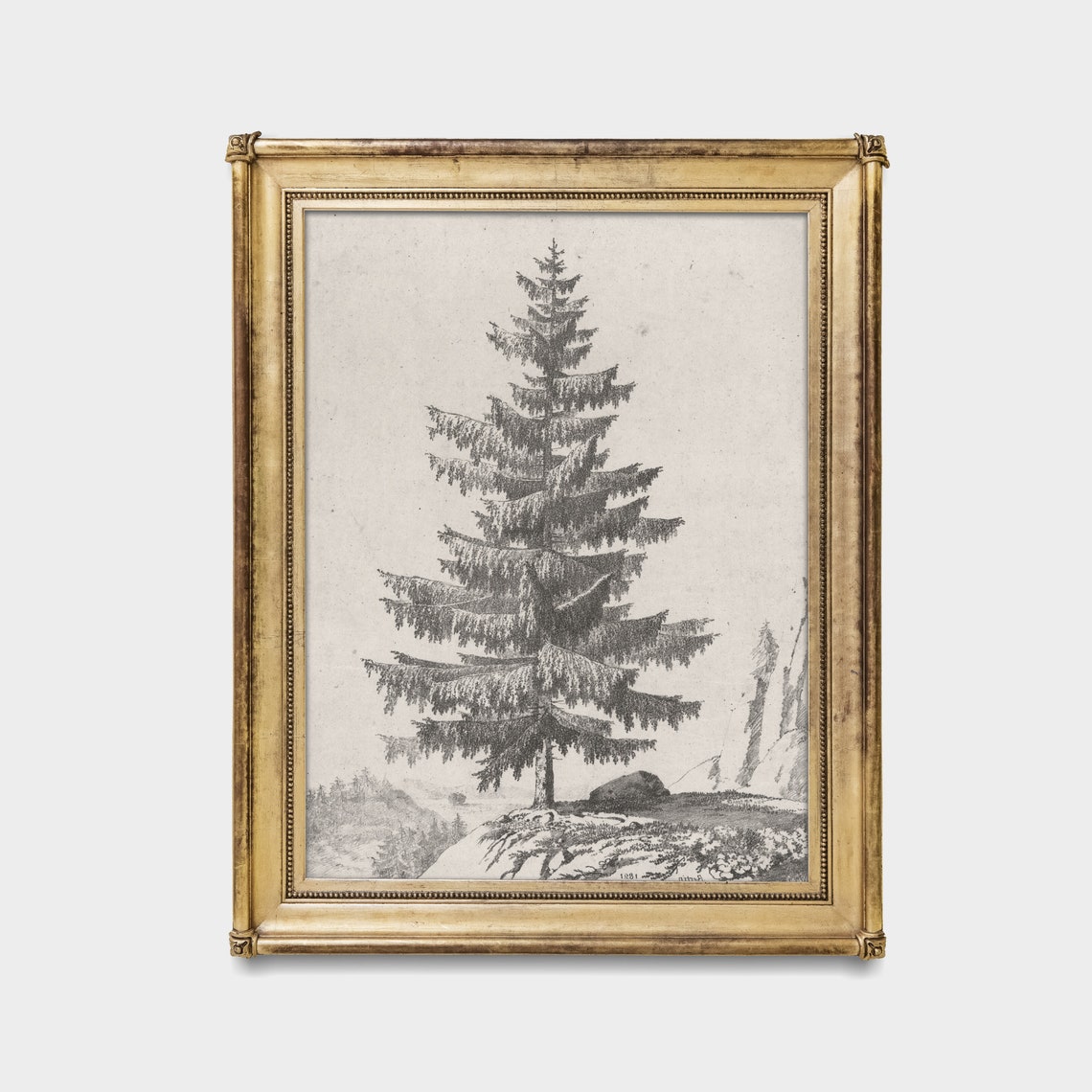 Vintage Sketch Drawing Antique Tree Rustic Print Wall Art Farmhouse Decor Fine Art Print Neutral Art - Image 3