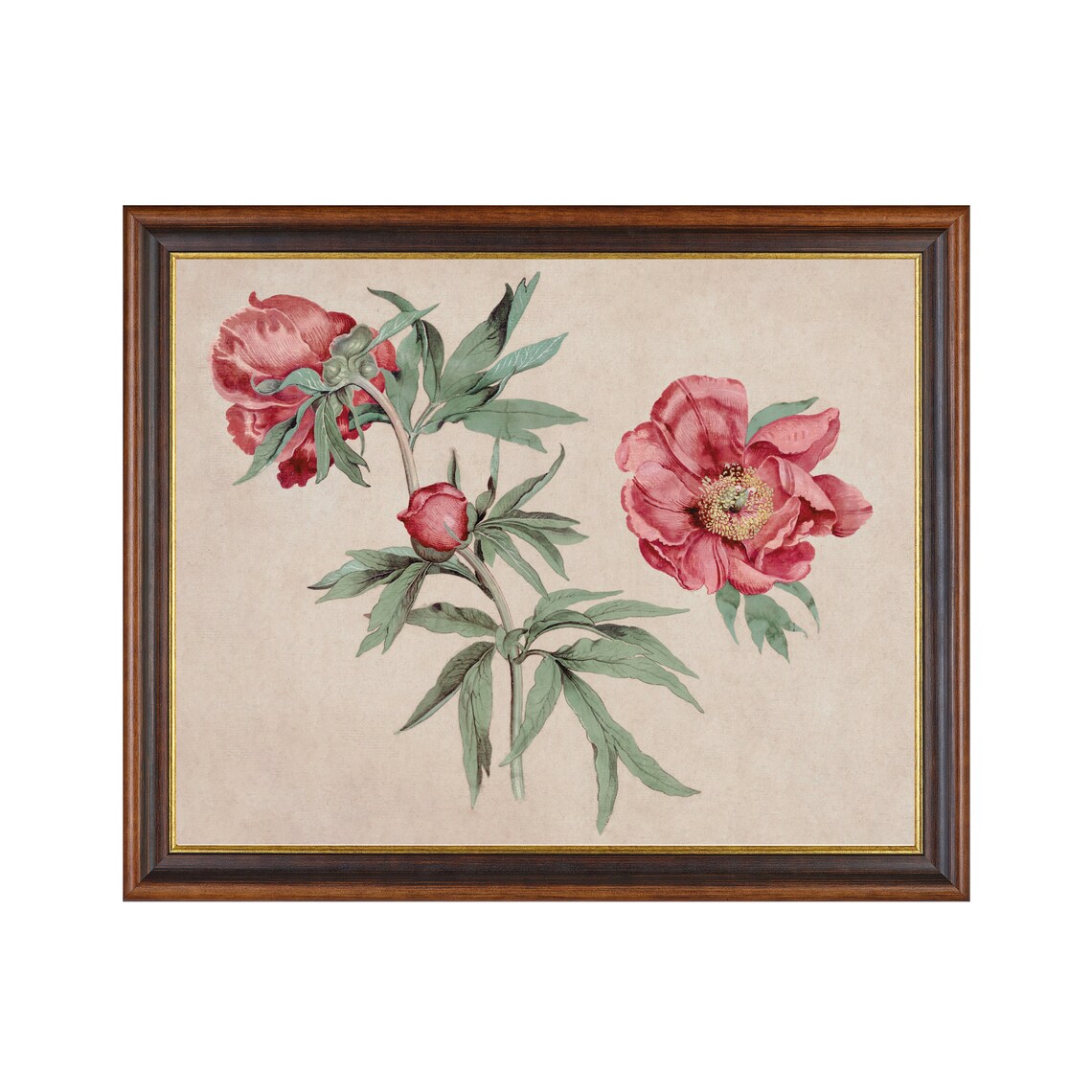 Vintage Peonies Still Life, Farmhouse Floral Art Print - Image 3