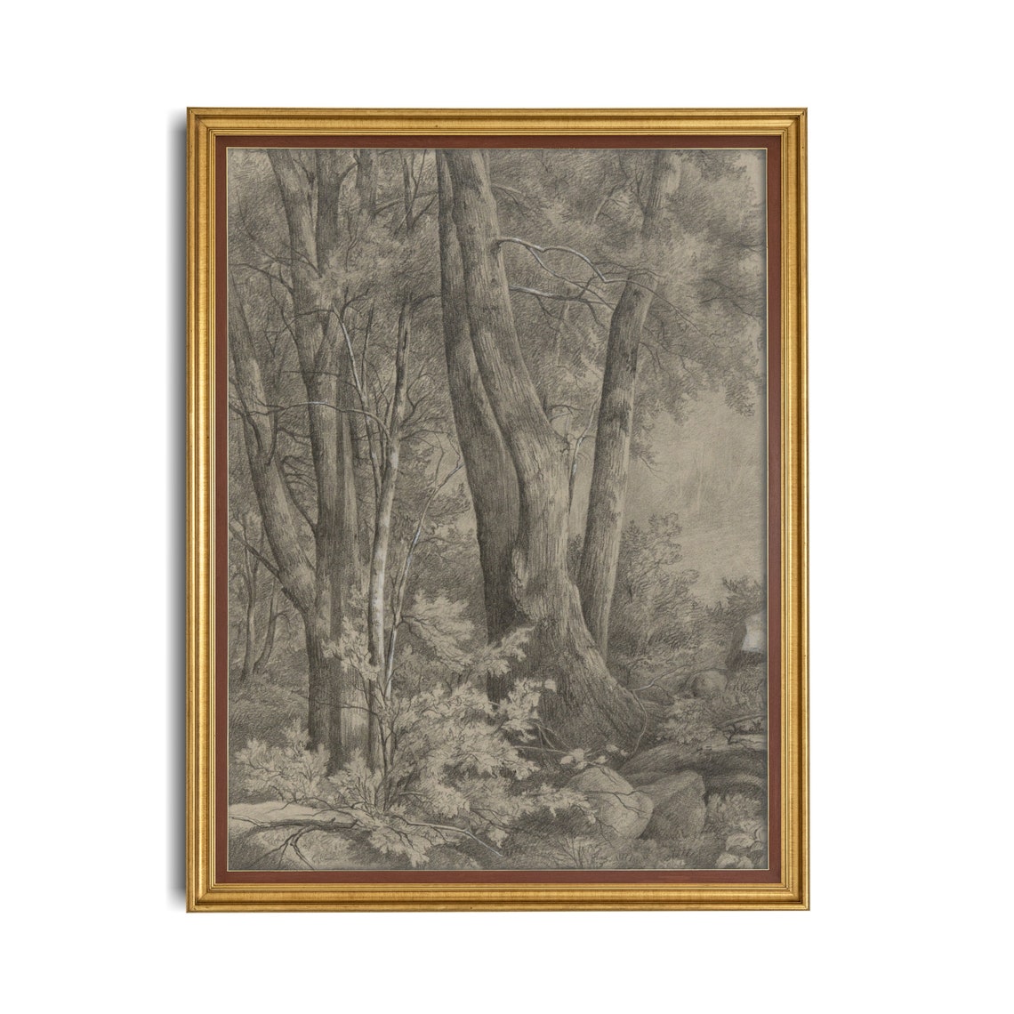Towering Forest Trees Vintage Pencil Sketch Drawing Nature Print - Image 2