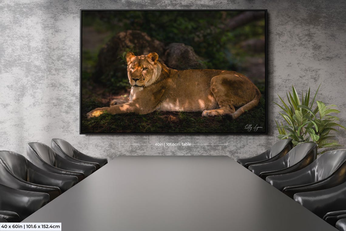 Lion Print, Wildlife Photography, Africa Travel Art - Image 2