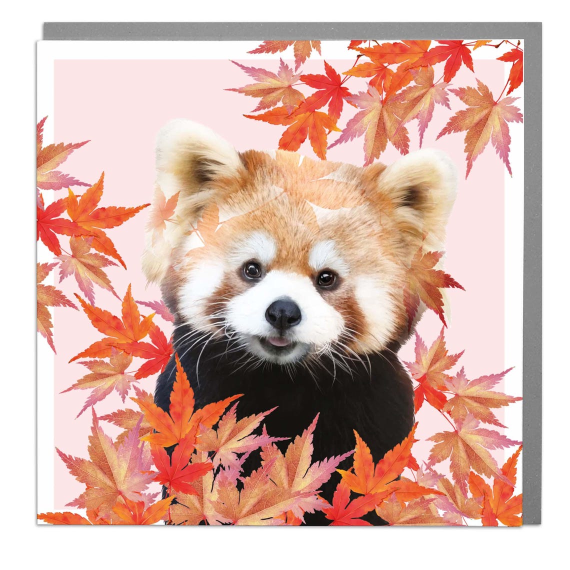 Red Panda Art Print by Lola Design