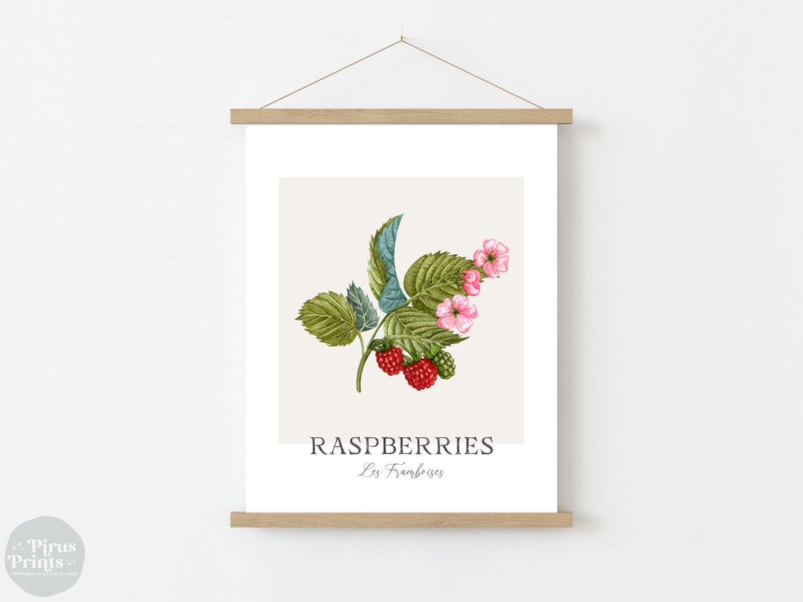 Raspberries Watercolor Botanical Kitchen Art Print - Image 3